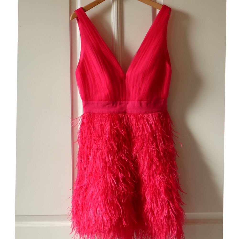 ALICE + OLIVIA Tehran Feather Party Mini Dress - Picture 11 of 16